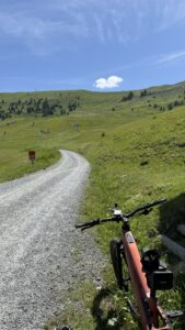 Pistes et alpages du domaine de l'Alpe d'Huez en été