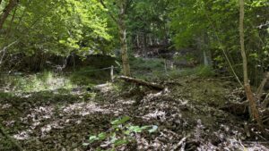 Passage technique en forêt sur le sentier de Sardonne